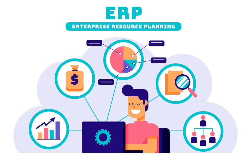 ERP 画像